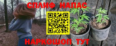 Альфа ПВП Нальчик