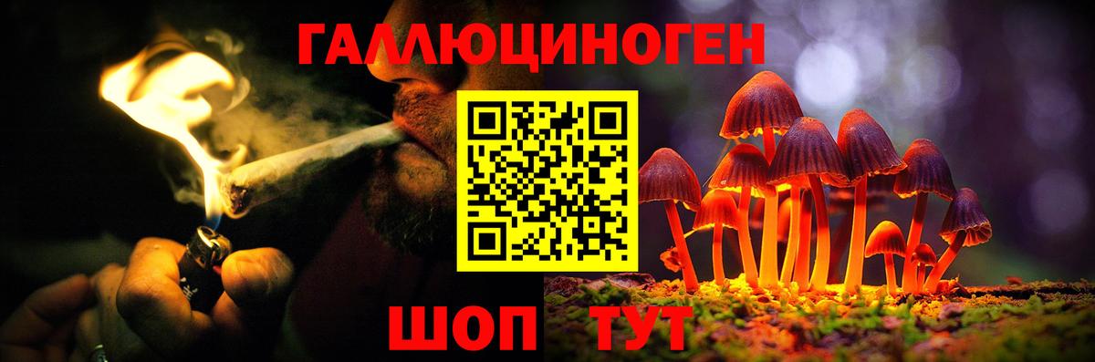 Сухой Лог  купить  цена  Вход с VPN  Галлюциногенные грибы Cubensis 